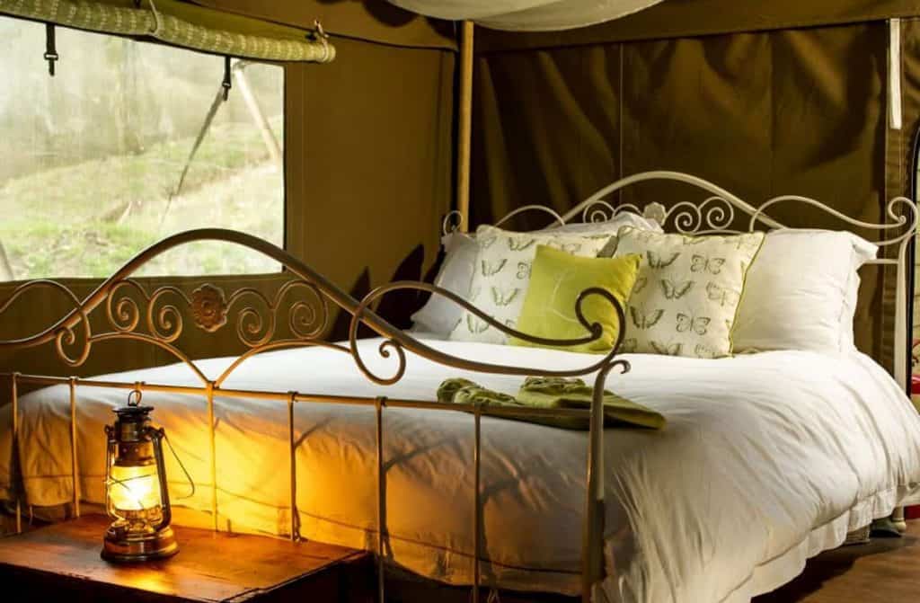 Illuminated safari tent at Longlands glamping site during dusk, surrounded by lush greenery and tranquil landscape.