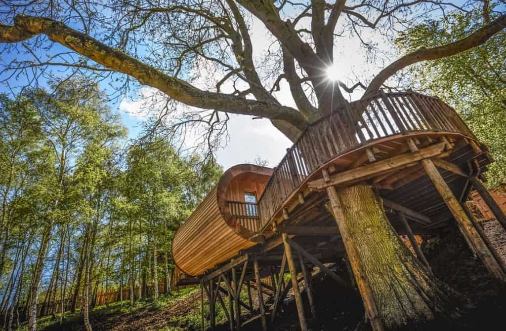 Aerial view of The Fish Hotel, situated in the countryside of Worcestershire, featuring a cluster of luxury treehouses surrounded by trees and greenery, with outdoor terraces and private hot tubs