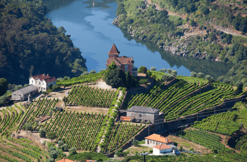 Panoramic view of the Douro Valley, Portugal, with terraced vineyards along the Douro River and traditional wine estates under a sunny sky.