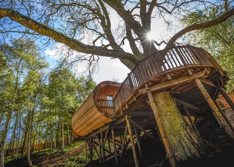 Treehouse accommodation nestled in a lush forest.